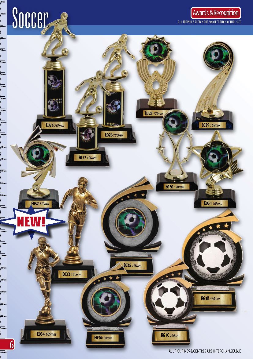 awardsrecognition_page_08.jpg