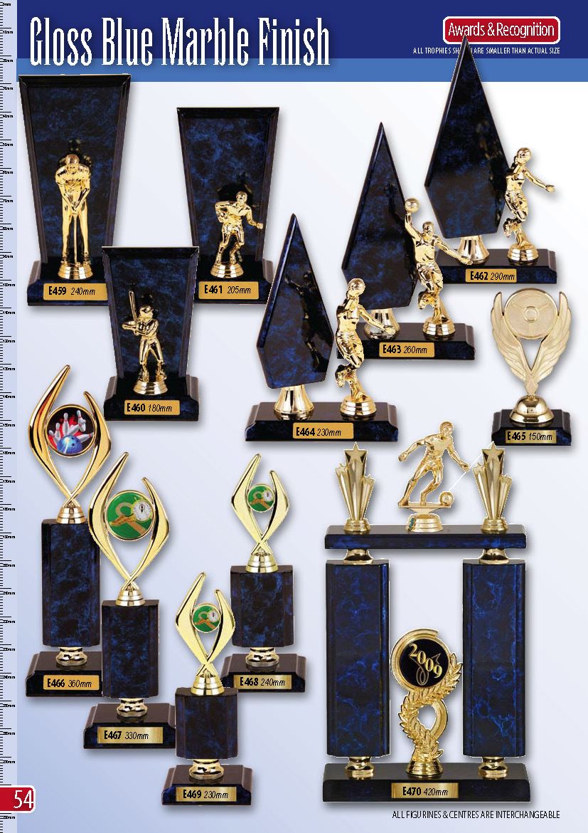 awardsrecognition_page_56.jpg