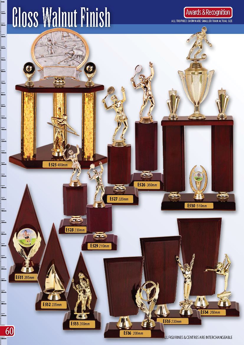 awardsrecognition_page_62.jpg